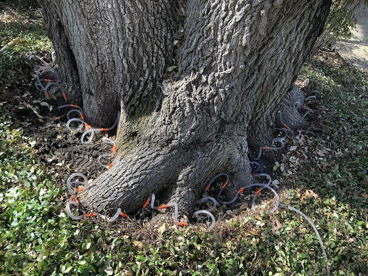 Detailed Shrub and Hedge Trimming job site in Hesston