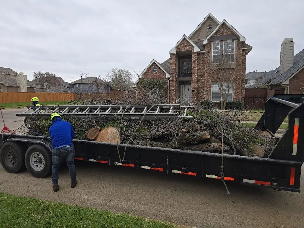 Expert Tree Removal with proper safety equipment in Hesston